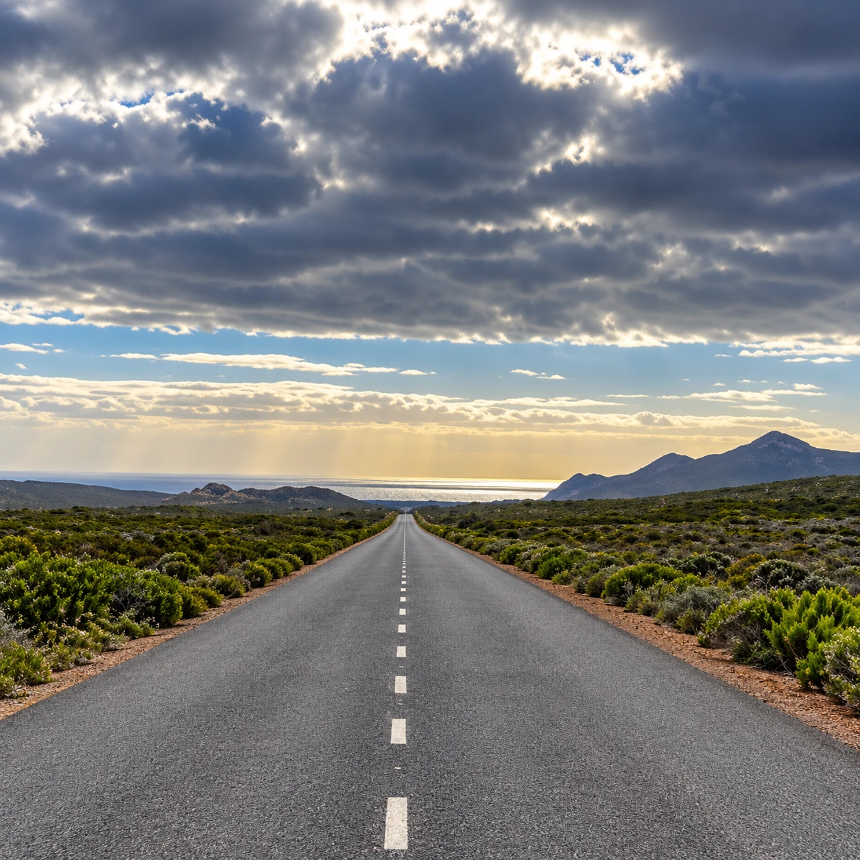 Scenic open road through Cape Peninsula vegetation leading toward mountains and the ocean on a cycling route.